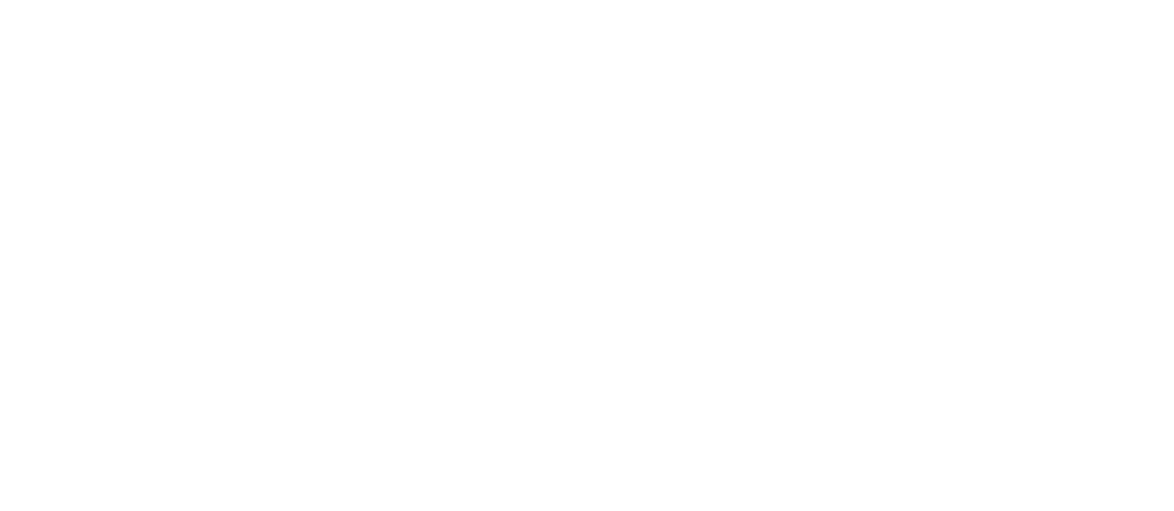 Encuentro Canning